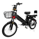 Manufacturers direct sales 20 inch fat tire spoke wheel load fork double battery electric bicycle
